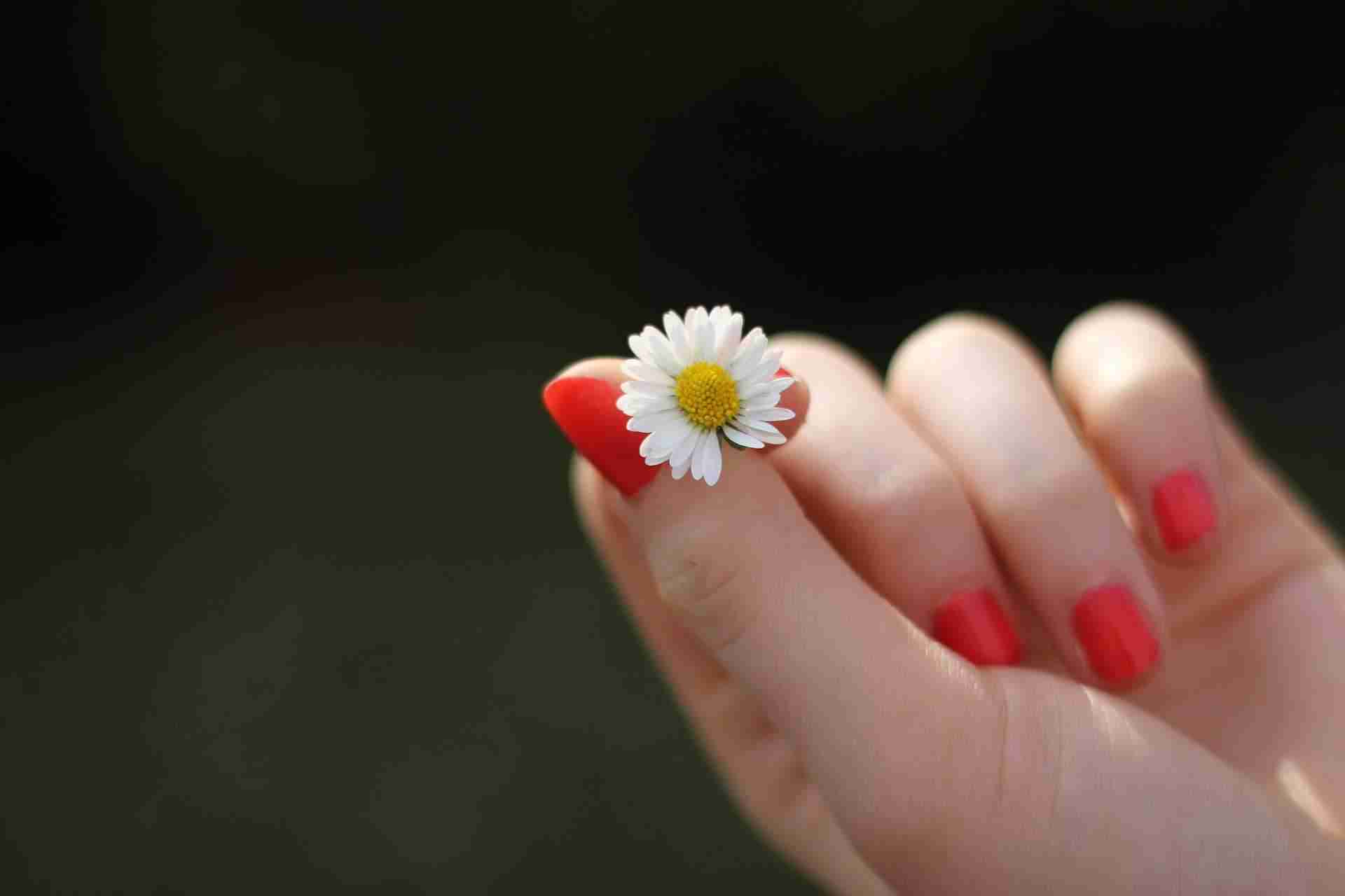 hand 302802 1920 1