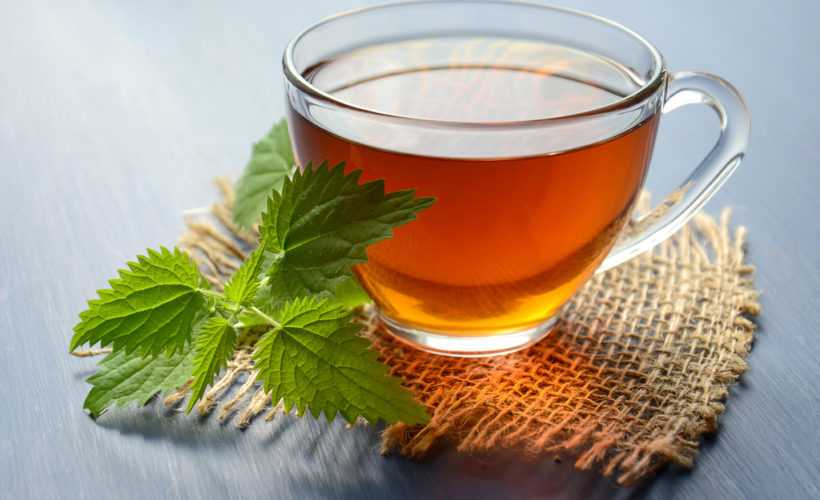 tea drink nettle useful treatment therapy 1449403 pxhere.com