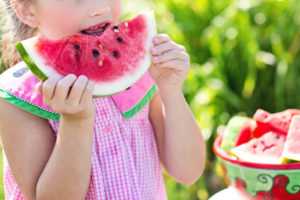 plant play fruit summer food green 872151 pxhere com