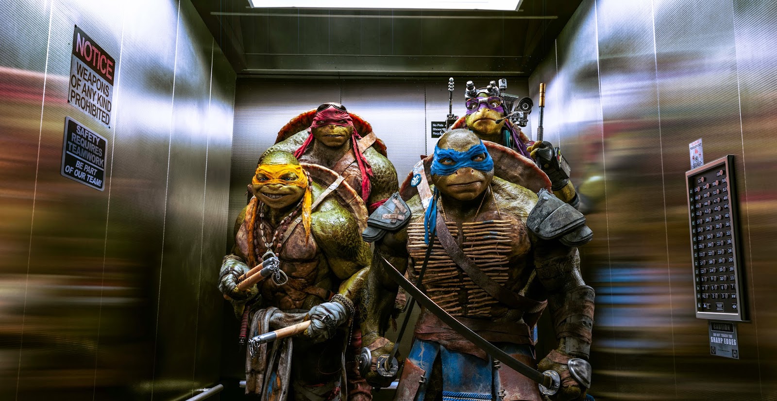 rp teenage mutant ninja turtles 7.jpg