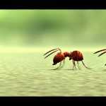 Mrňouskové  Údolí ztracených mravenců