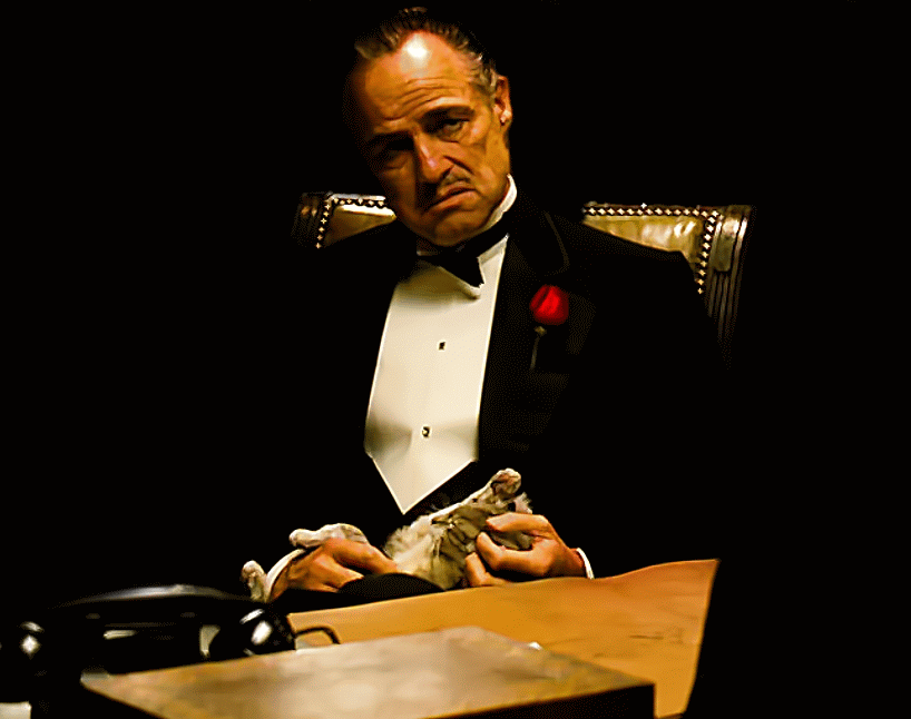 the godfather ilpadrino by donvito62