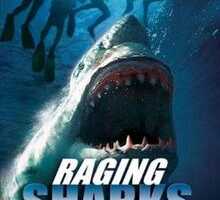 rp Raging Sharks 28200529.jpg