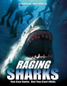 rp Raging Sharks 28200529.jpg