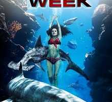 rp Shark Week 28201229.jpg
