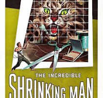 rp Incredible Shrinking Man The 1957.jpg