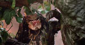 Predator 1