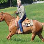 Šarlota a vysněný kůň 3 : Nečekaný host - bude ranč zachráněný?
