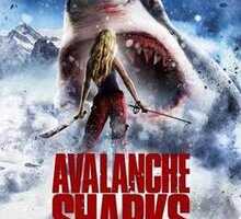 rp Avalanche Sharks 28201429.jpg