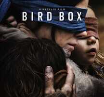 rp Bird Box 28201829.png