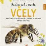 Jeden rok v životě včely - fascinující příručka pro všechny milovníky včel