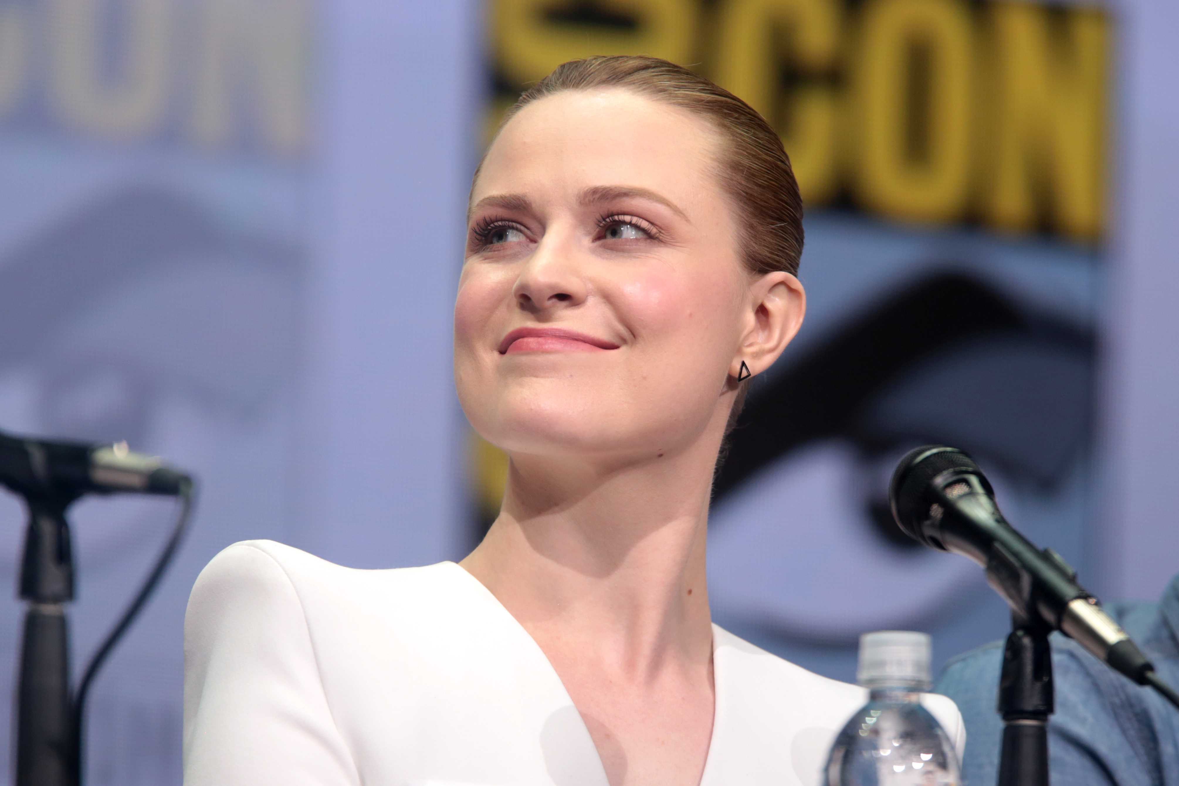 Evan Rachel Wood 36059430362