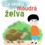 Co věděla moudrá želva - kniha pro všechny děti