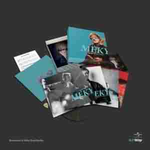Meky vinyl box
