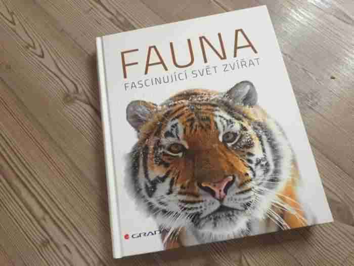 fauna1