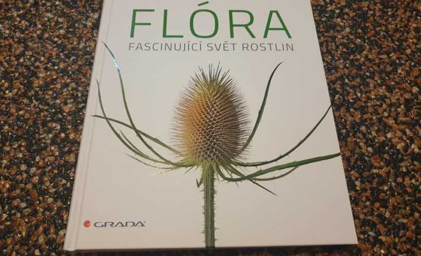 flora1