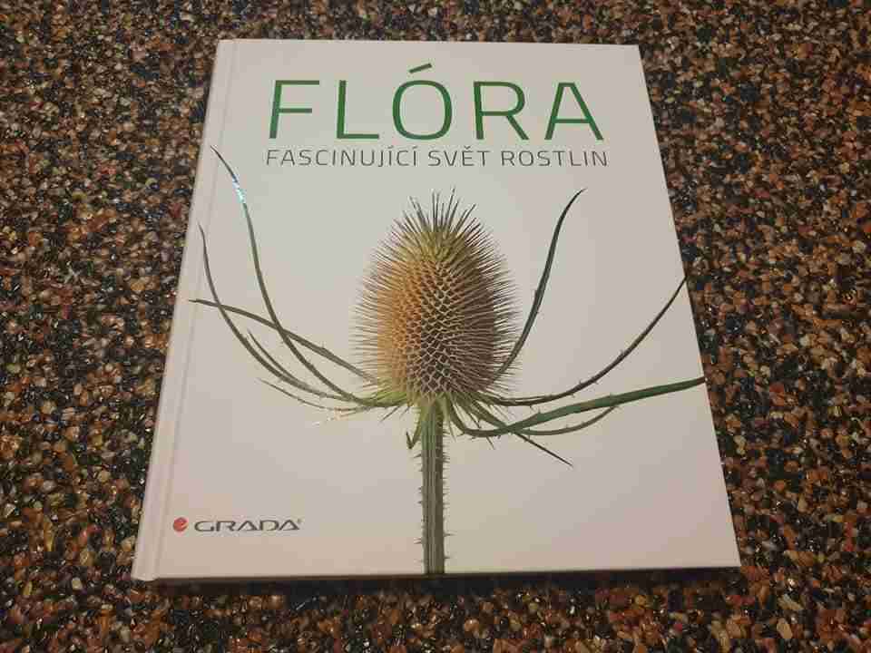 flora1