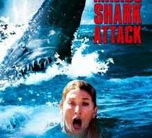 rp Malibu Shark Attack 2009.jpg