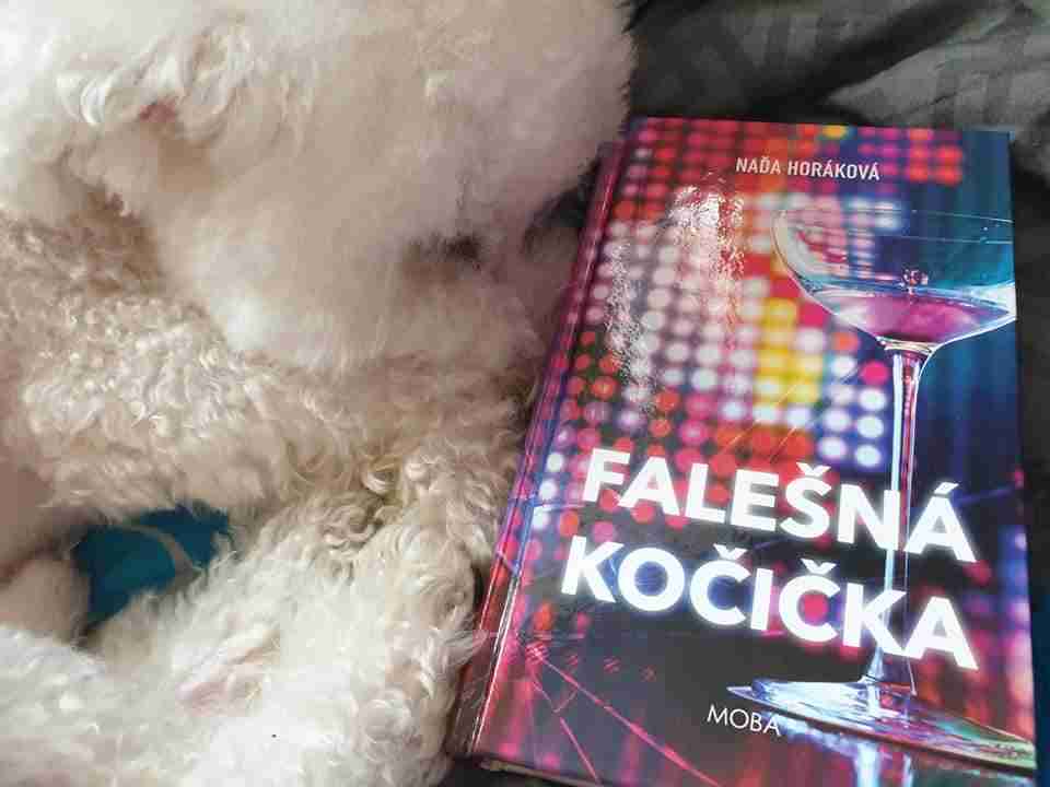 falesna.kocicka
