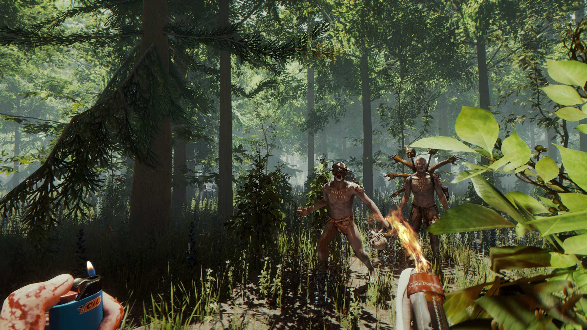 Forest