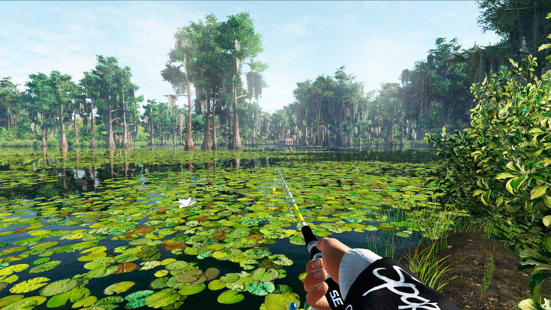 Fisherman