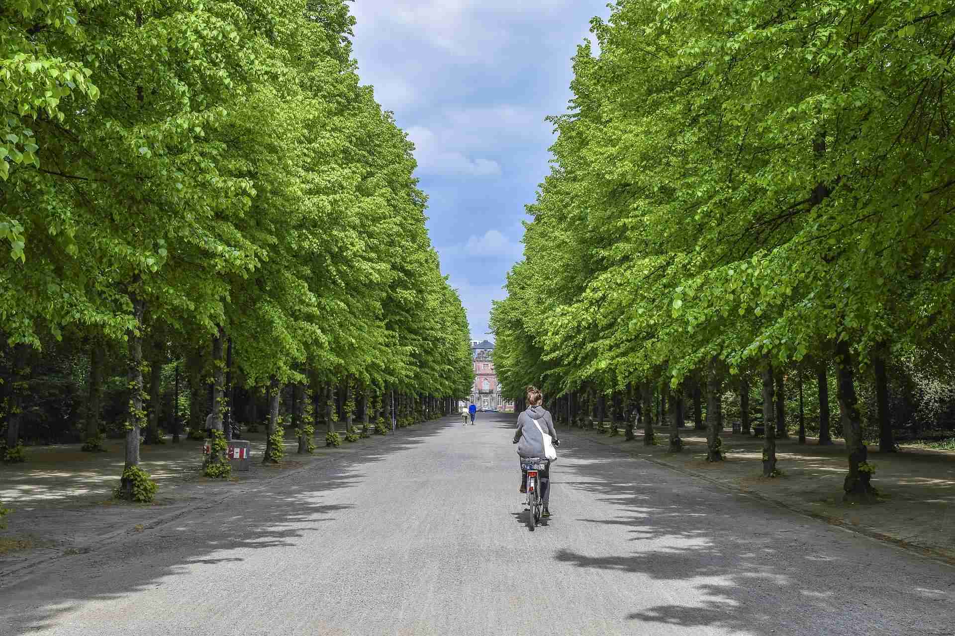 avenue 5314089 1920