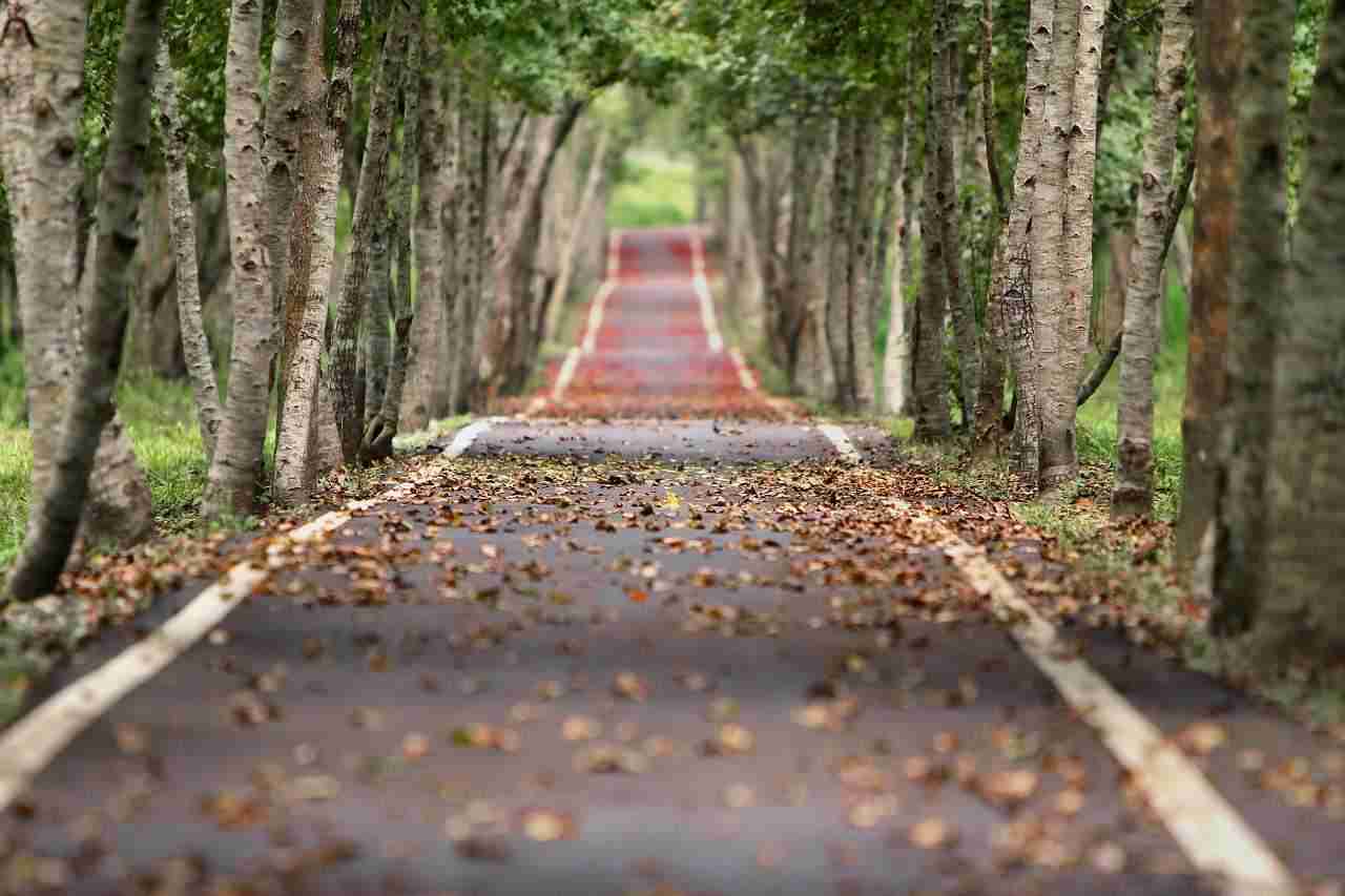 avenue 656969 1280