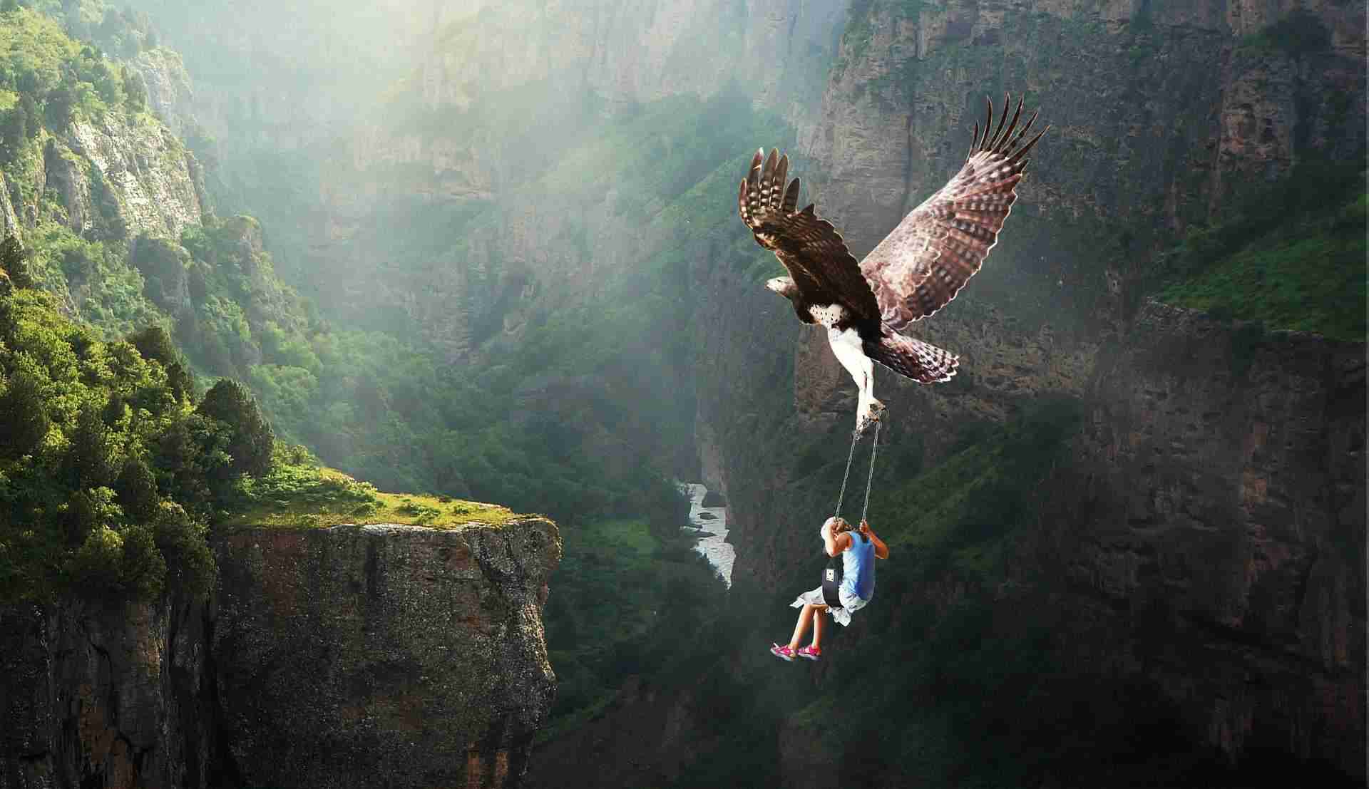 nature 3188987 1920