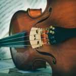 Jak kouzlo do houslí vklouzlo - poetický příběh o Františkovi