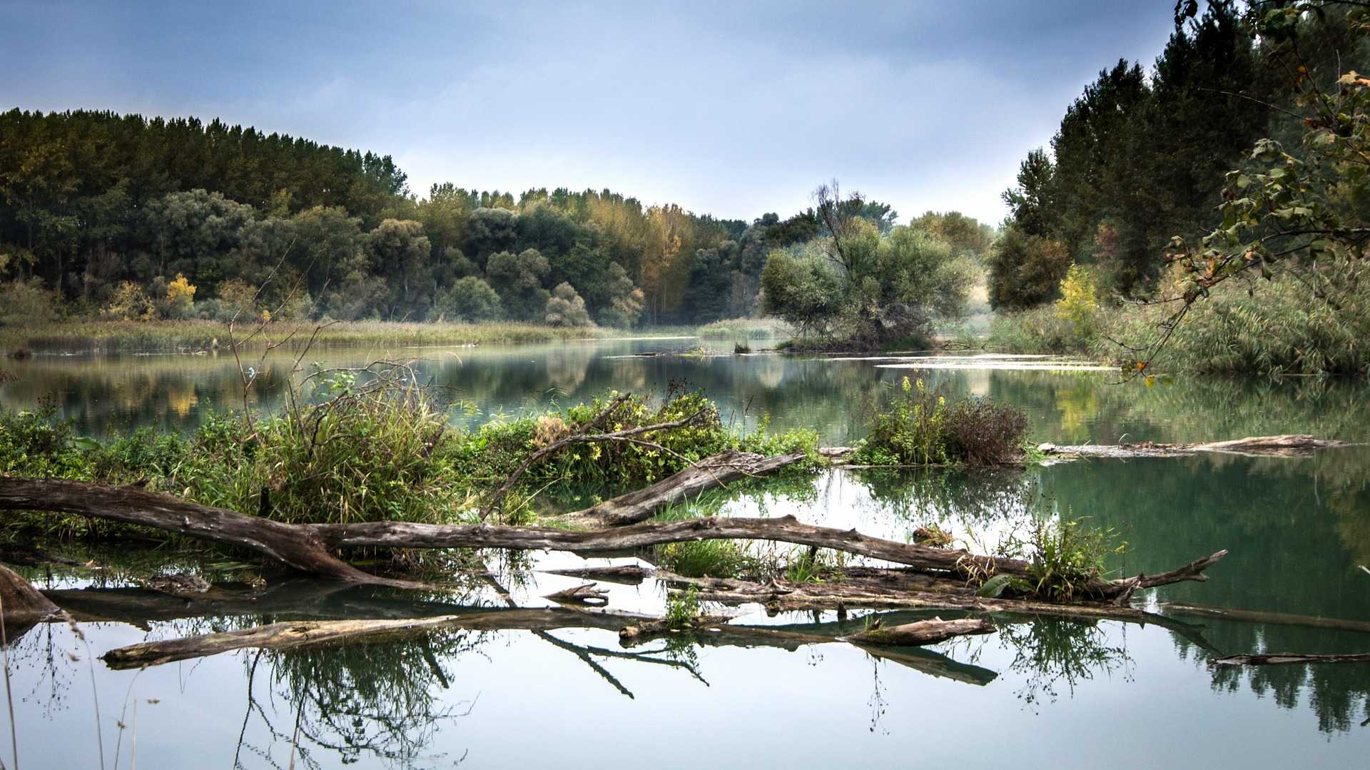 Lubos Houska z Pixabay