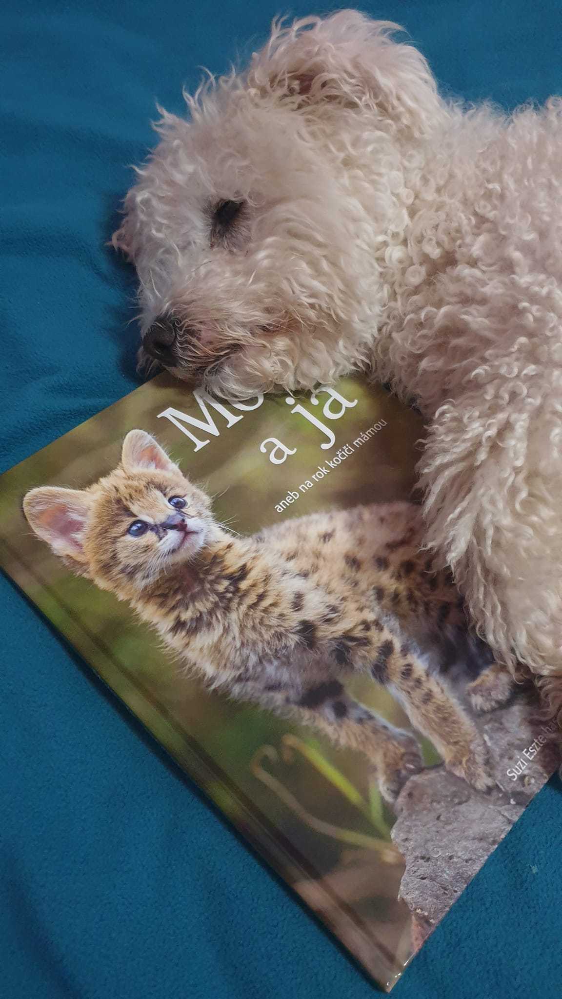 Moto a já aneb na rok kočičí mámou Foto: Egmont Publishing & Andrea Bátovská