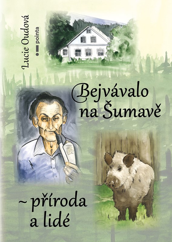 Sumava2