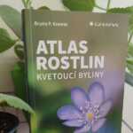 Atlas rostlin – kvetoucí byliny