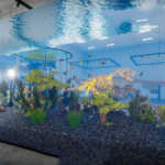 Aquarist: Zábavná simulace akvária s potenciálem stát se skvělou