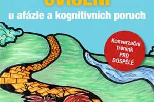 151516 Logopedicka cviceni u afazie a kognitivnich poruch Lasotova Grada 350 0 fit