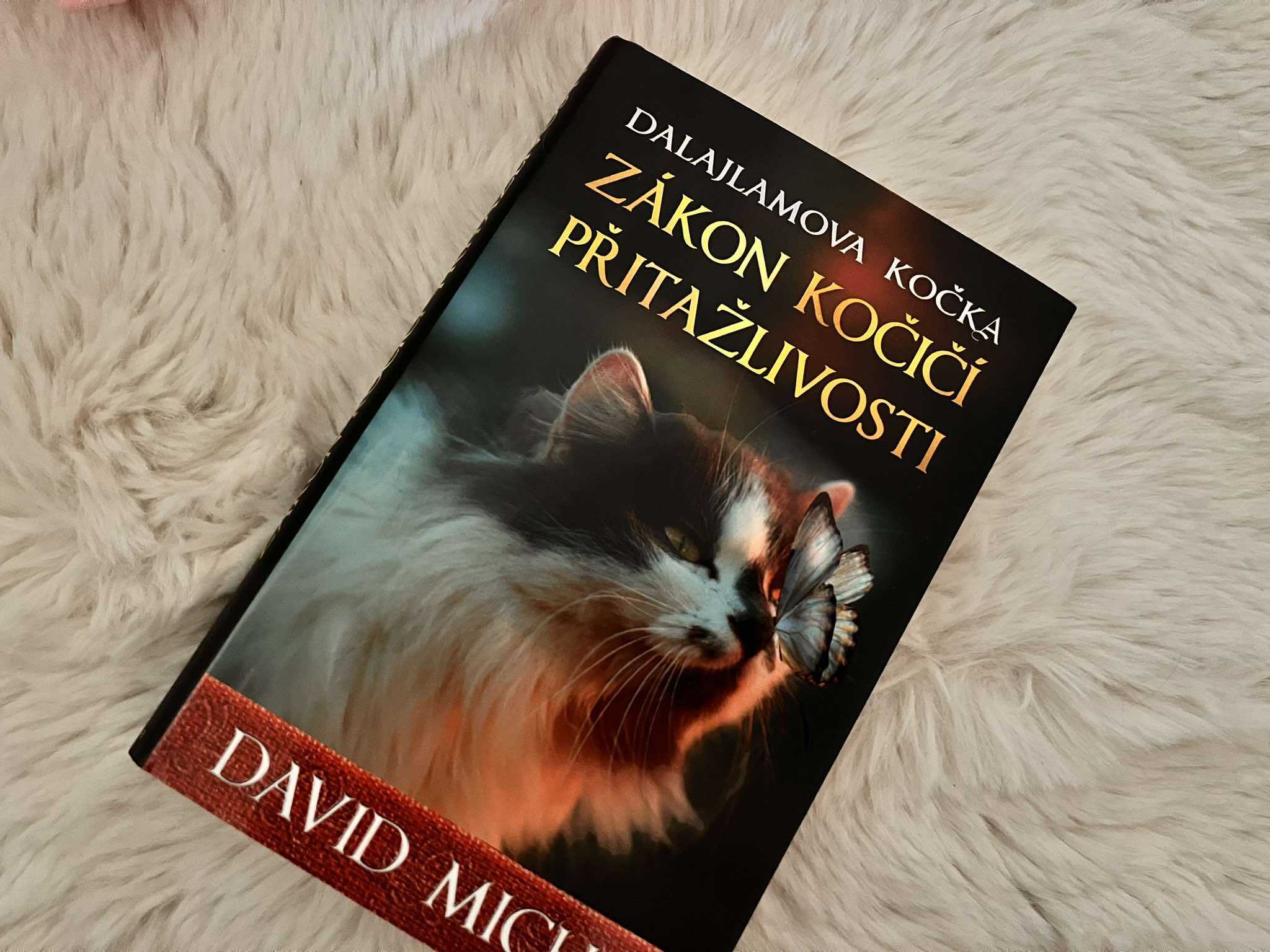 Jeska je zpět: Recenze Dalajlamova kočka: Zákon kočičí přitažlivosti 462537008 881341273966205 3531669659580001027 n