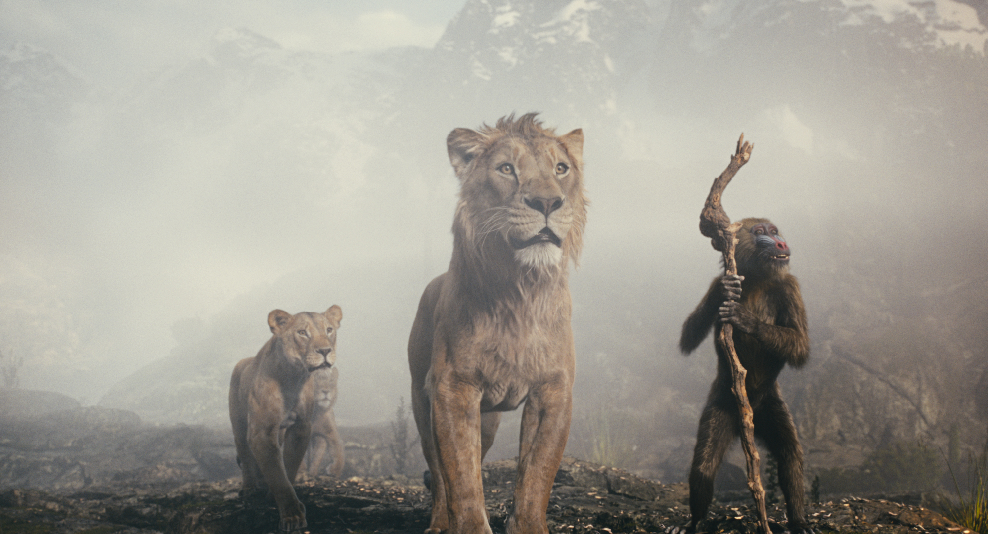 Photo © Walt Disney Studios Motion Pictures