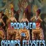 Podnájem na Champs Ellysées (1990)
