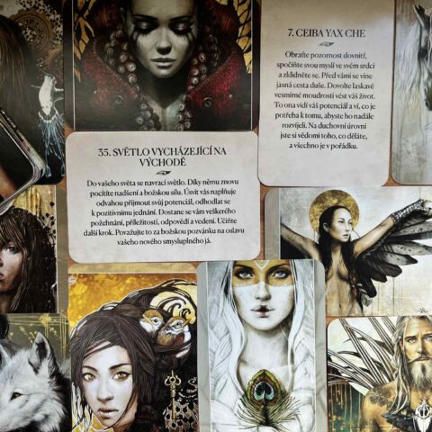 Alana Fairchild: Léčivé srdce