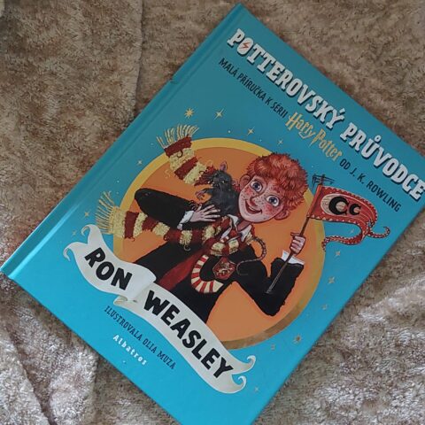 Potterovský průvodce, Ron Weasley