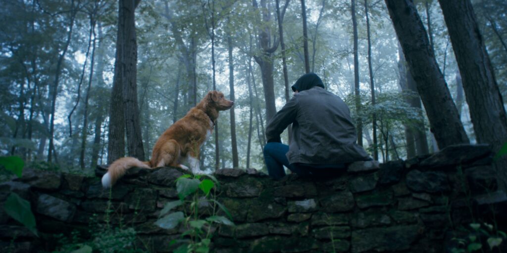 Good Boy