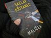 MALÍČEK