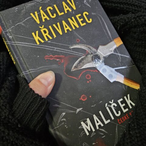 MALÍČEK