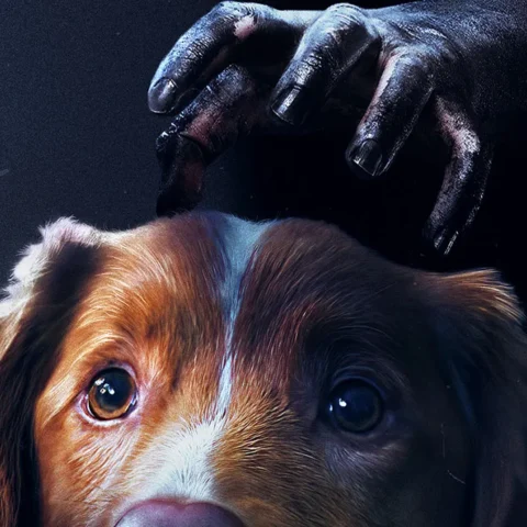 Good Boy - Horor vyprávěný z pohledu psa
