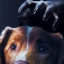 Good Boy