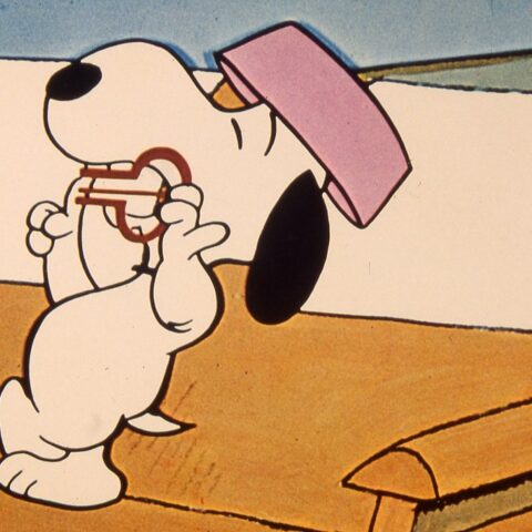 Chlapec jménem Charlie Brown