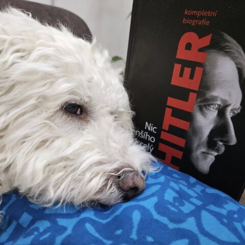 HITLER. Nic menšího než celý svět