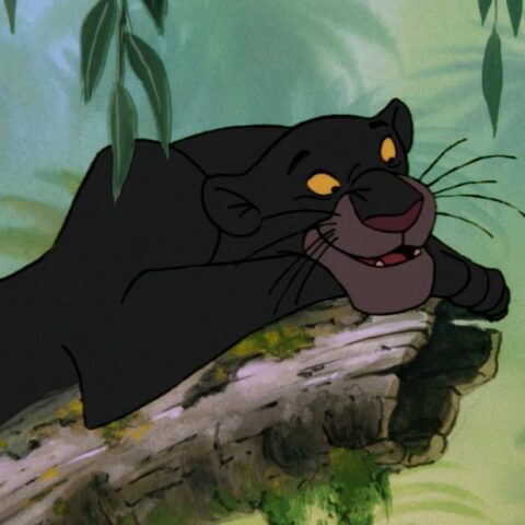 Královský rok 1967: Kolébka inovací, ikonických filmů a revoluce v kinematografii