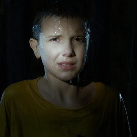 Stranger Things: Přehled první série