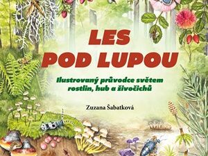 Les pod lupou-ilustrovaný průvodce světem rostlin, hub a živočichů
